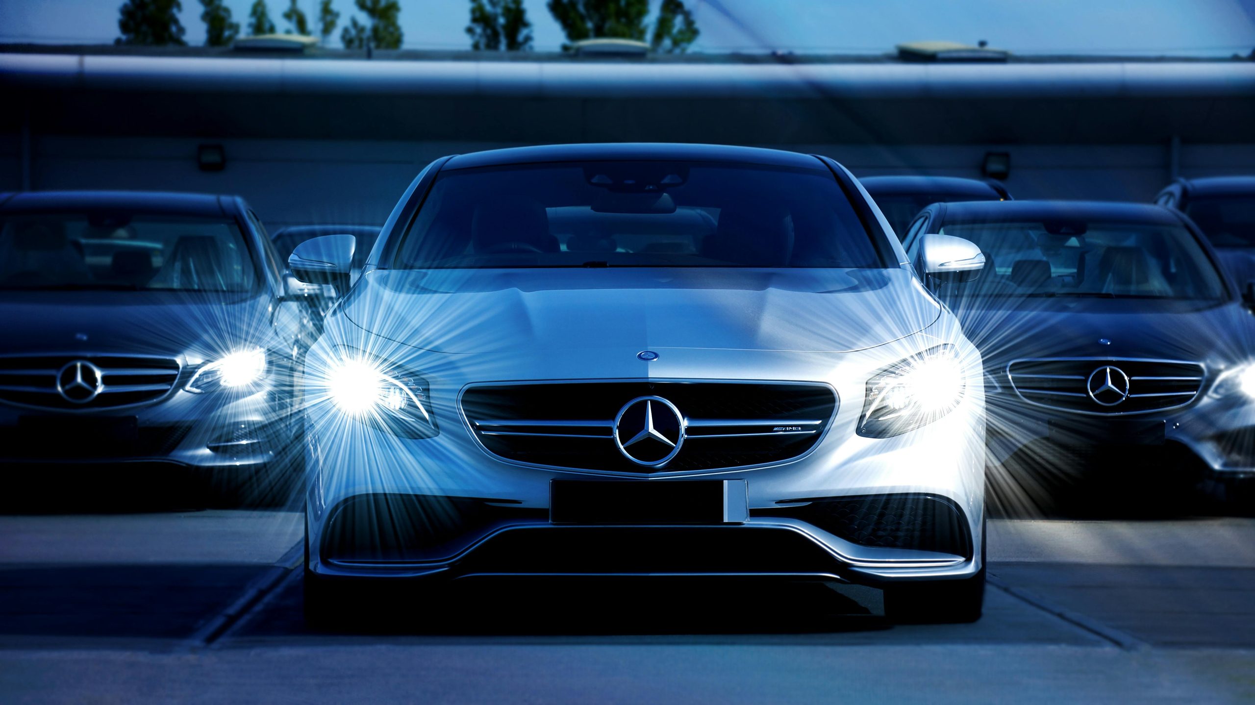 car rental